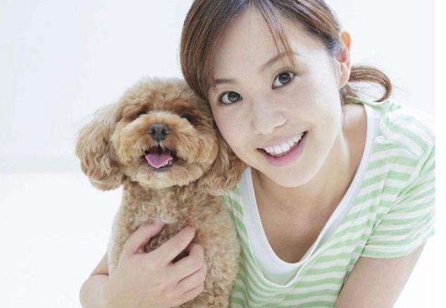 6种小型家庭护卫犬身子小却能看家颜值兼实力的存在