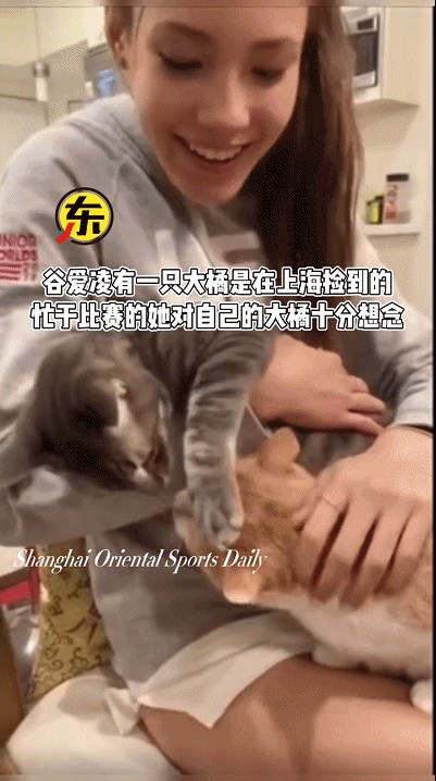 为动保代言的国脚球星一脚踢飞了自己的猫！结局舒适