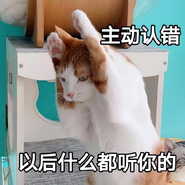 猫咪有这些坏毛病说明智商高宠主别误会了！